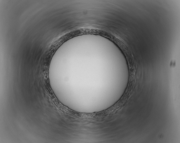 X0000112140870200908070936