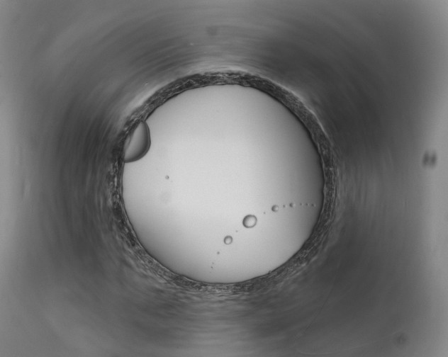 X0000112140871200908070936