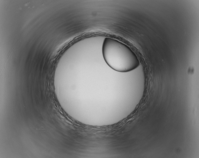 X0000112140872200908070936