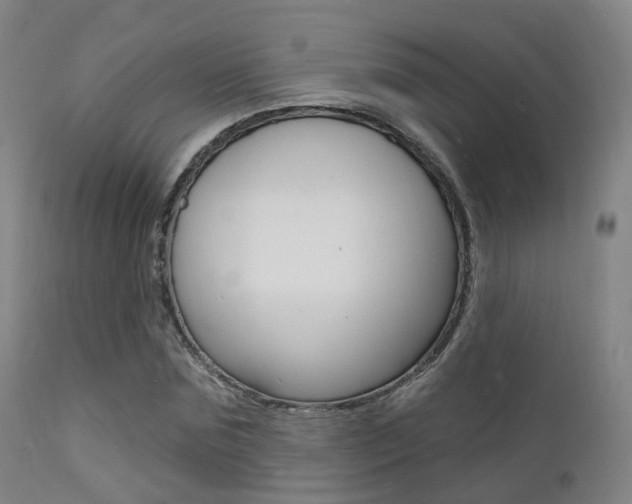 X0000112140875200908070936