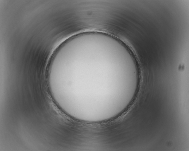 X0000112140876200908070936