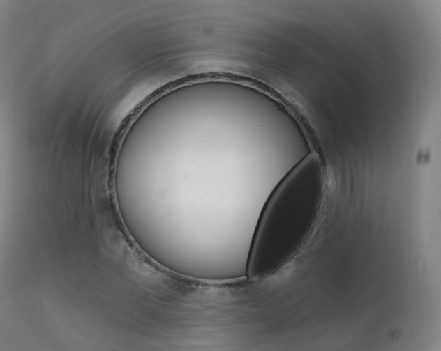X0000112140877200908070936