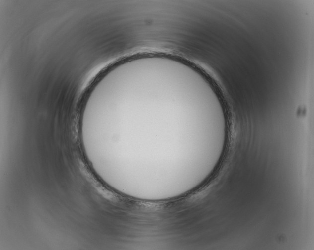 X0000112140878200908070936
