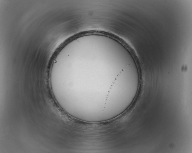 X0000112140879200908070936