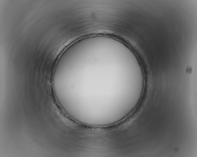 X0000112140881200908070936