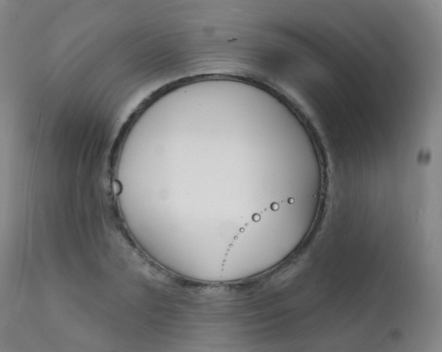 X0000112140883200908070936
