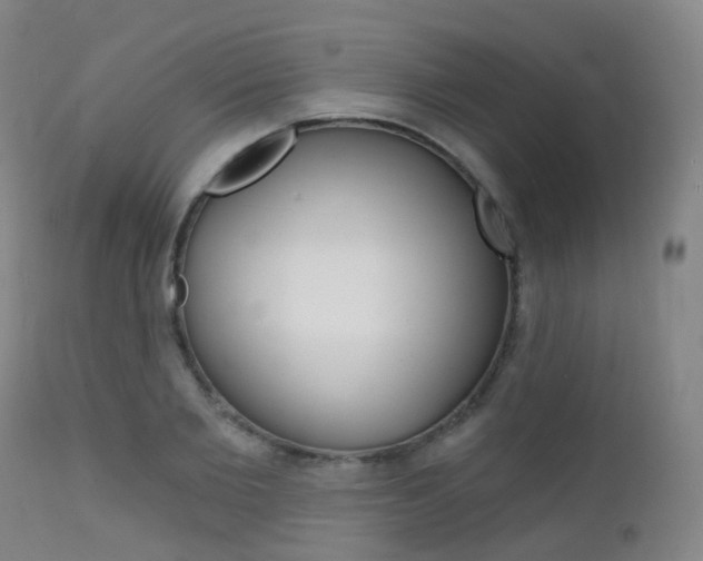X0000112140885200908070936