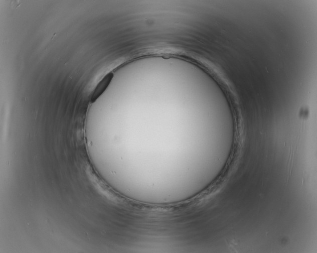 X0000112140889200908070936