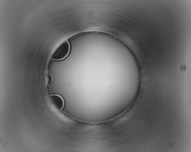X0000112140892200908070936