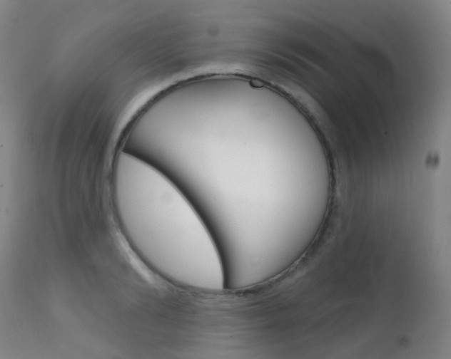 X0000112140894200908070936