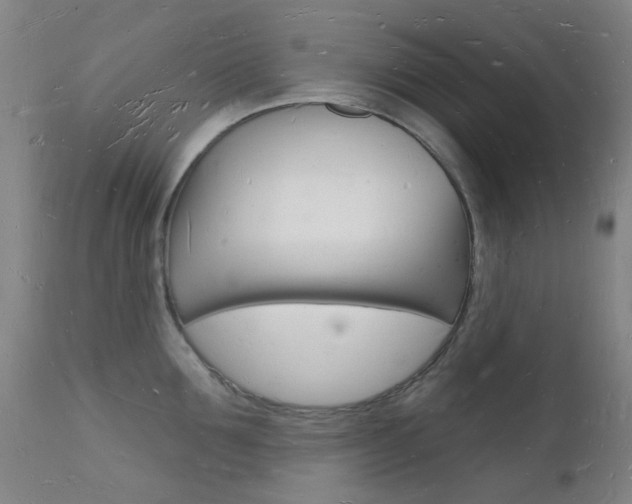 X0000112140907200908070936