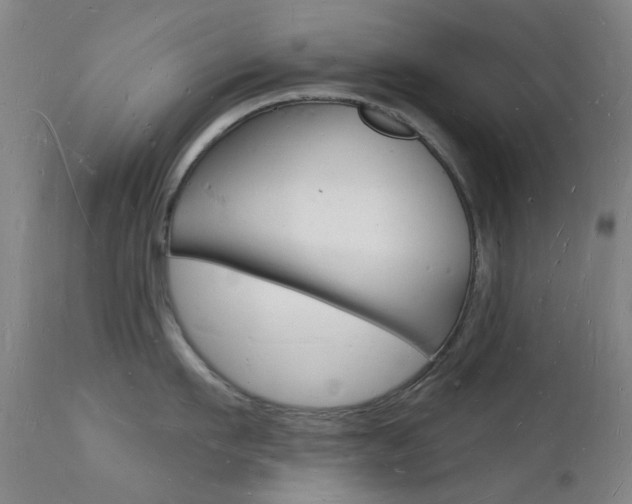 X0000112140911200908070936
