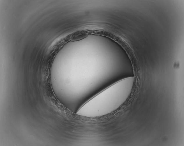 X0000112140920200908070935