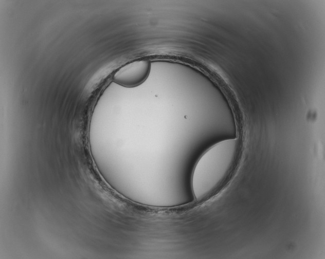 X0000112140922200908070935