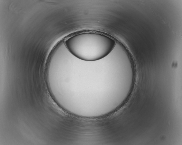 X0000112140924200908070935
