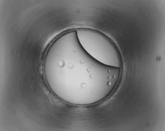 X0000112140925200908070935