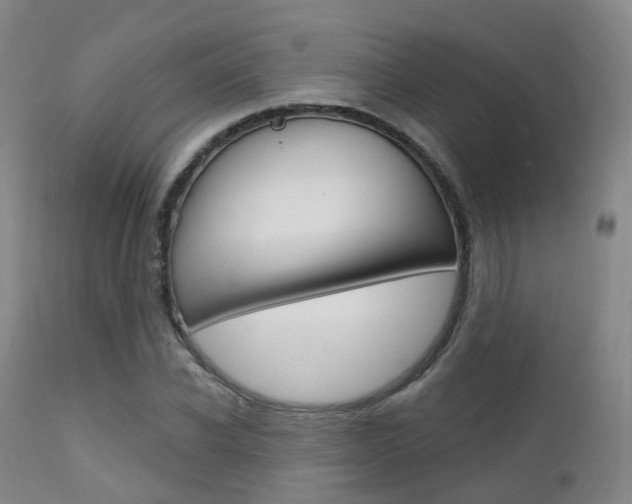 X0000112140926200908070935