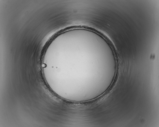 X0000112140927200908070935