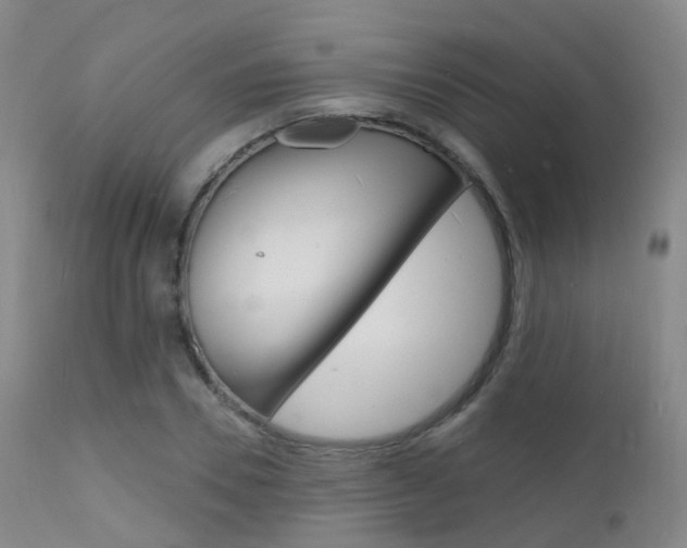 X0000112140930200908070935