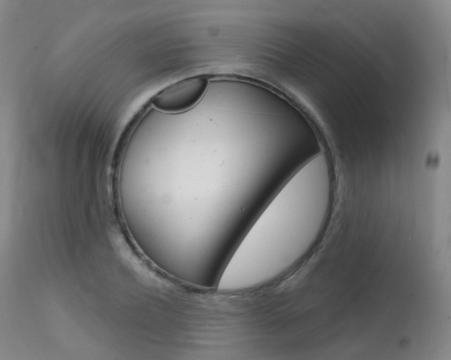 X0000112140932200908070935