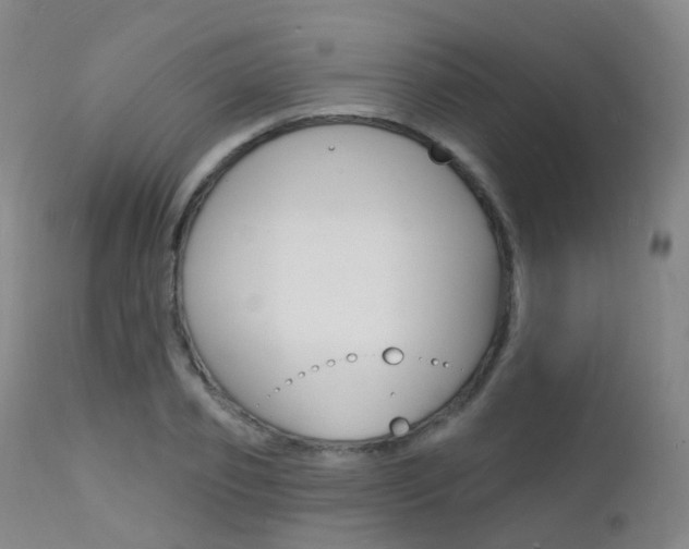 X0000112140933200908070935