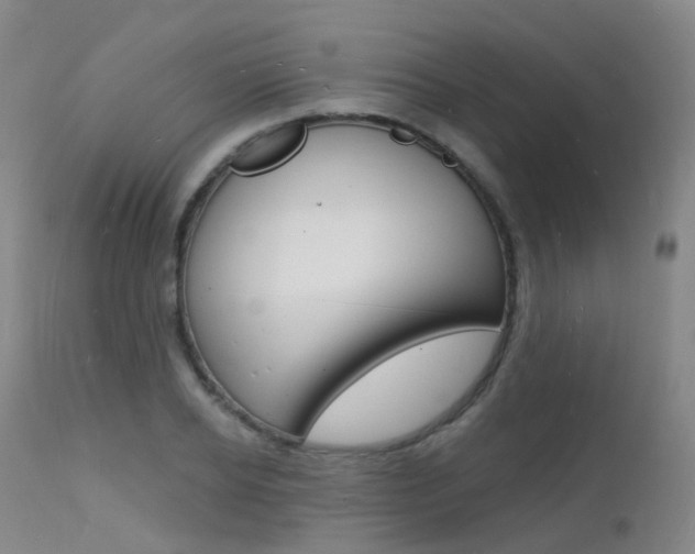 X0000112140934200908070935