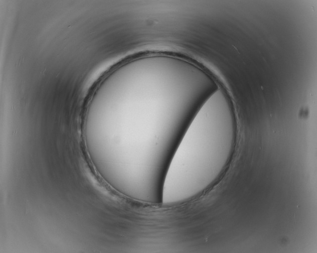 X0000112140935200908070935