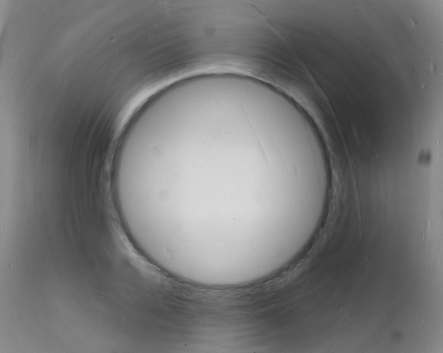 X0000112140936200908070935