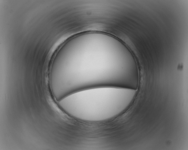 X0000112140939200908070935
