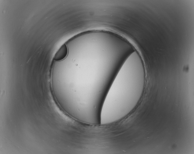X0000112140951200908070936