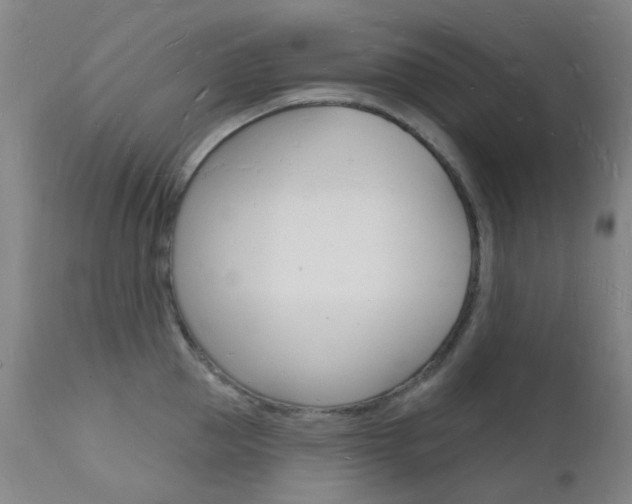 X0000112140953200908070936