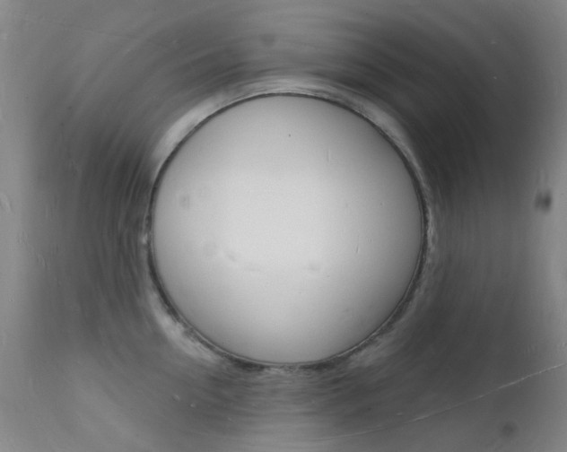 X0000112140954200908070936
