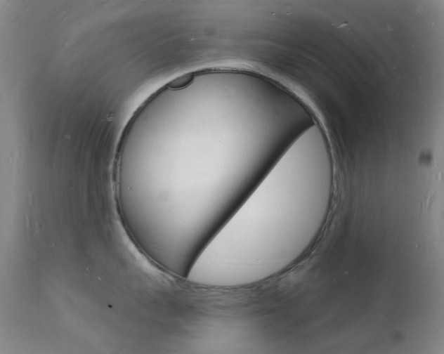 X0000112140959200908070936