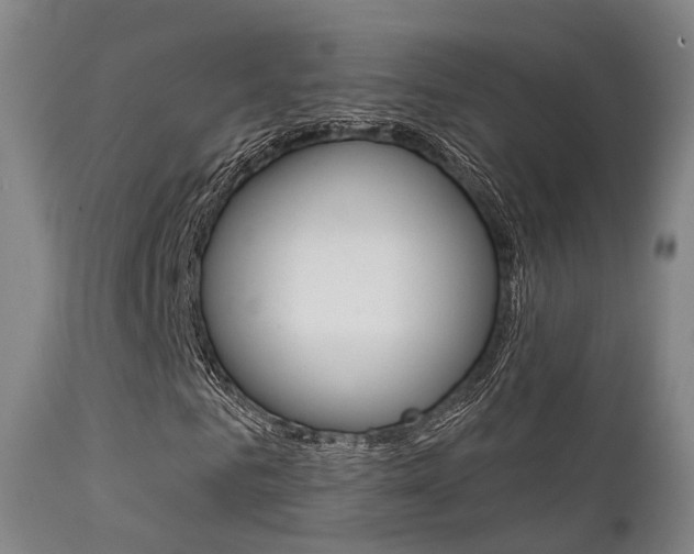 X0000112140961200908070935