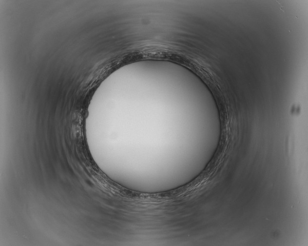 X0000112140964200908070935