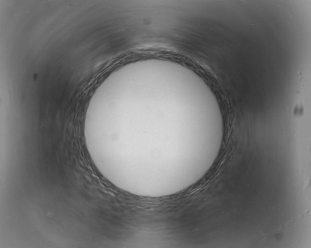 X0000112140965200908070935