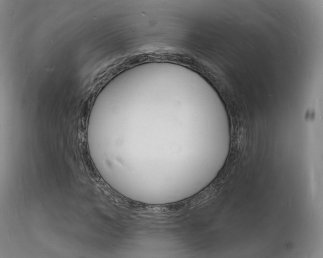X0000112140966200908070935