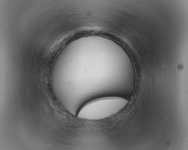 X0000112140967200908070935