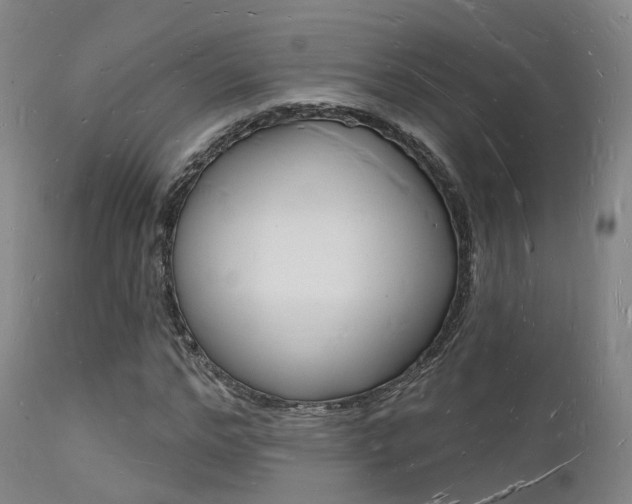 X0000112140968200908070935