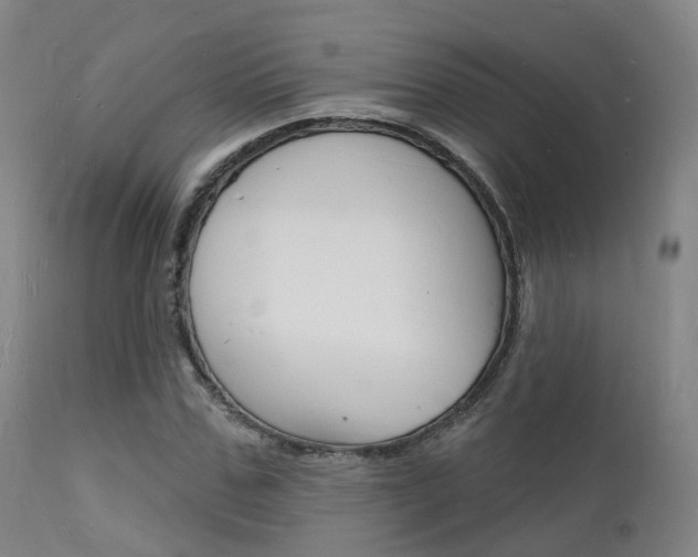 X0000112140971200908070935