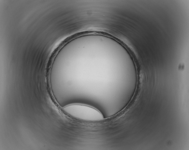 X0000112140972200908070935