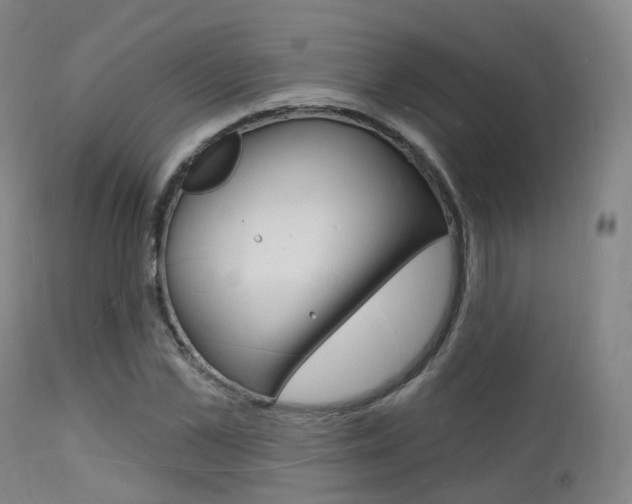 X0000112140973200908070935