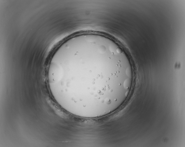 X0000112140974200908070935
