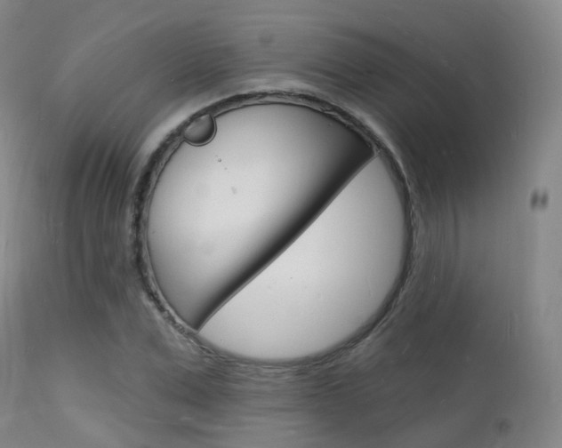 X0000112140975200908070935
