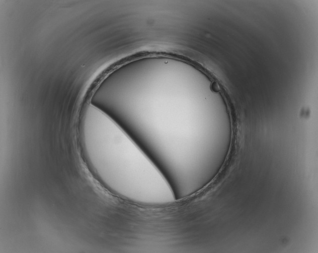 X0000112140976200908070935