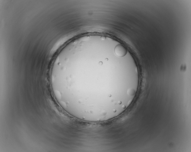 X0000112140978200908070935