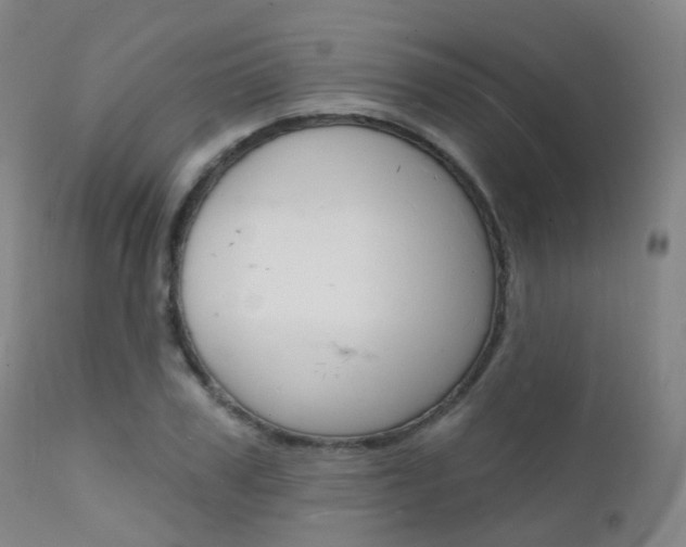 X0000112140979200908070935