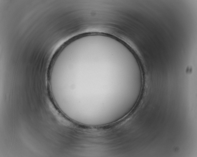 X0000112140980200908070935