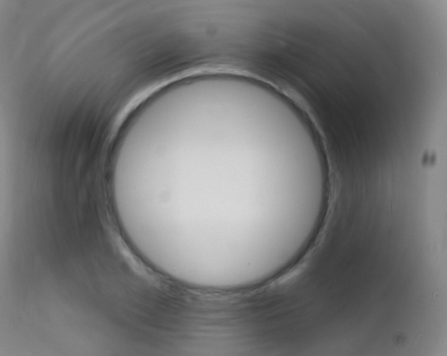 X0000112140981200908070935