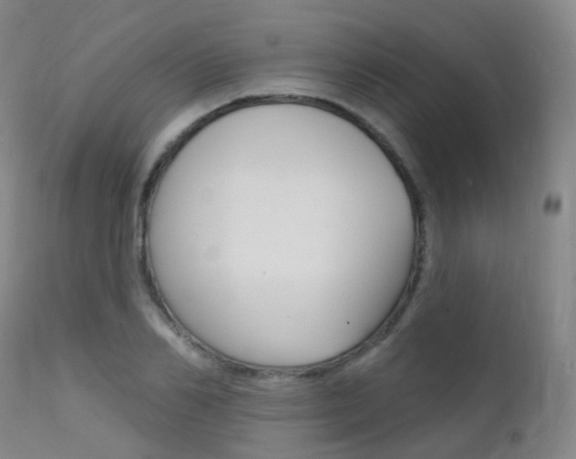 X0000112140982200908070935